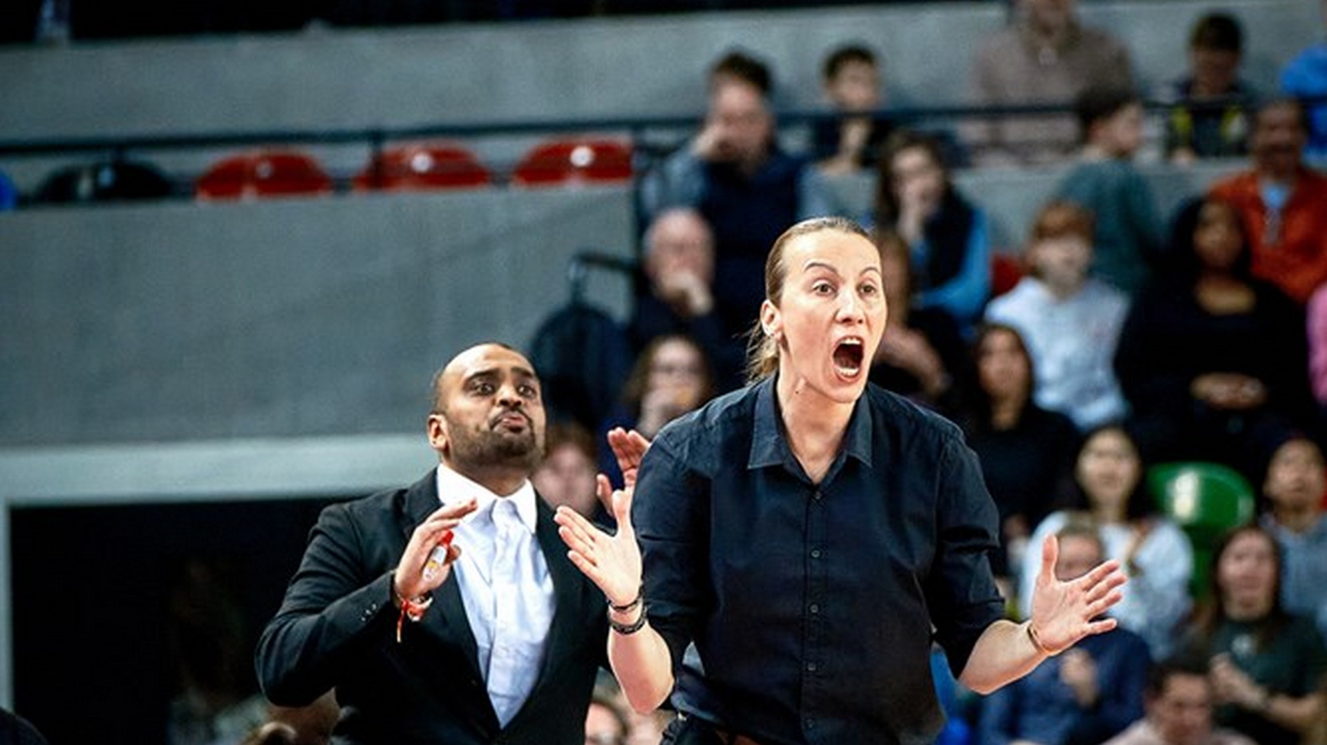 10 4 COACHSTELLA super